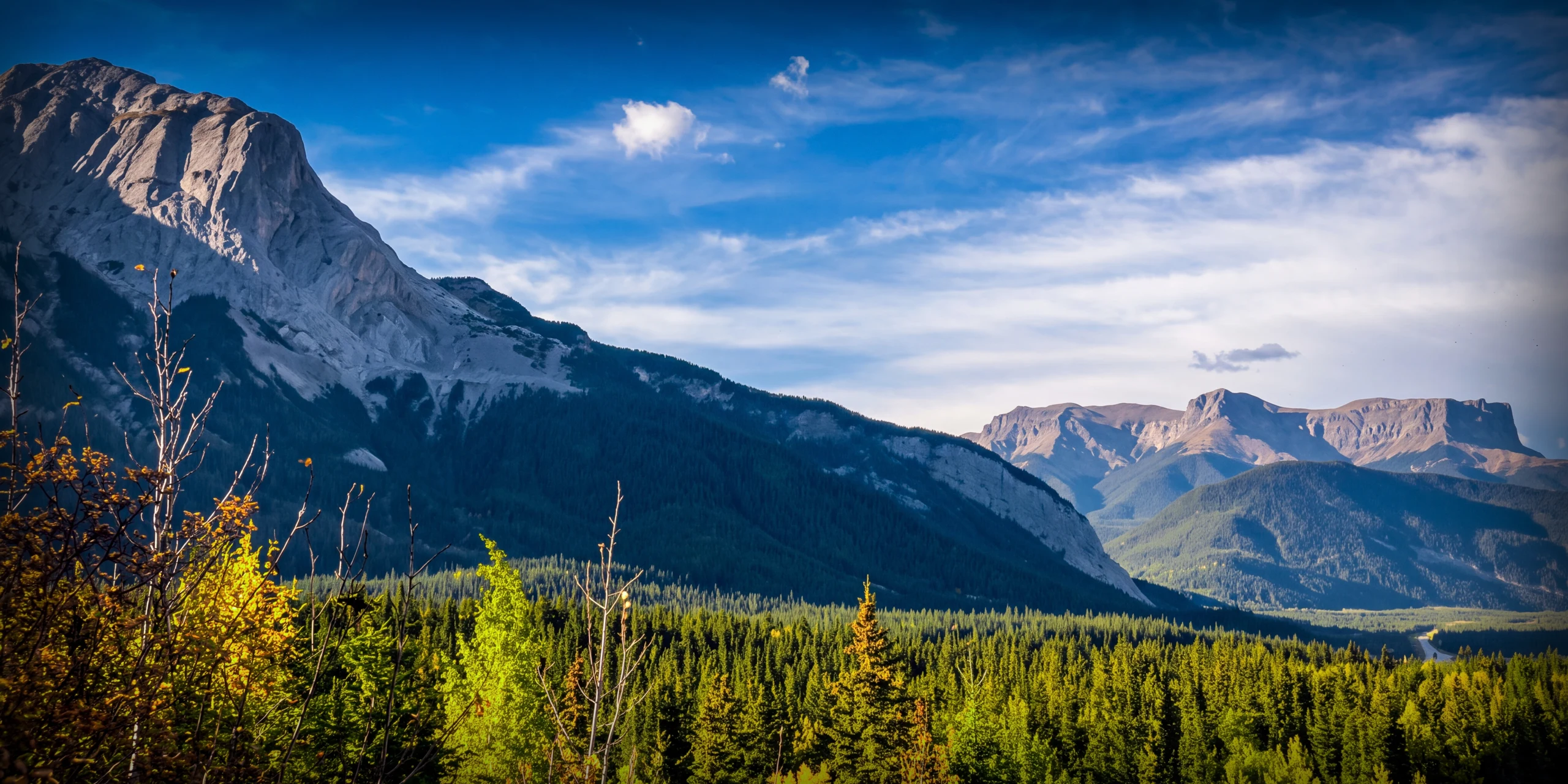 Rocky mountain peaks above a forested valley in the Northern Rockies
